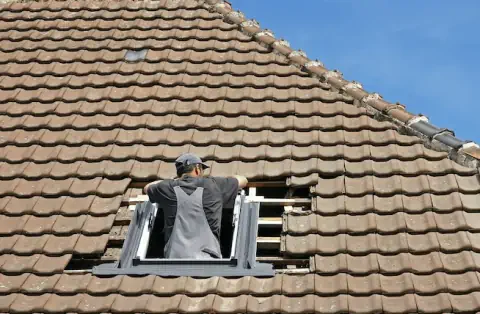 Pose de velux - Viens